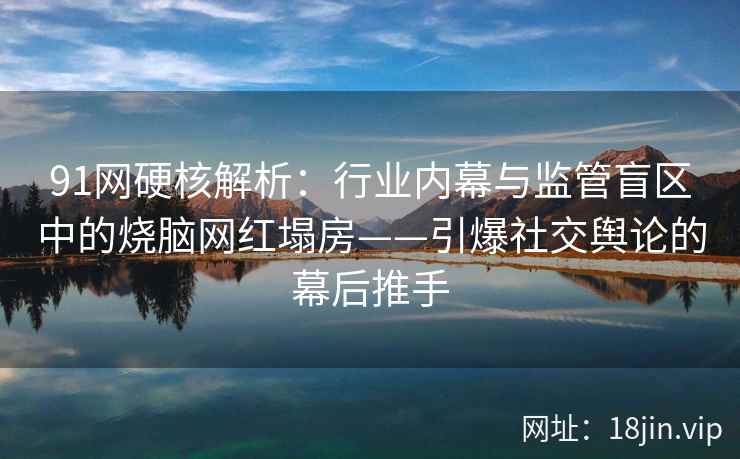 91网硬核解析：行业内幕与监管盲区中的烧脑网红塌房——引爆社交舆论的幕后推手
