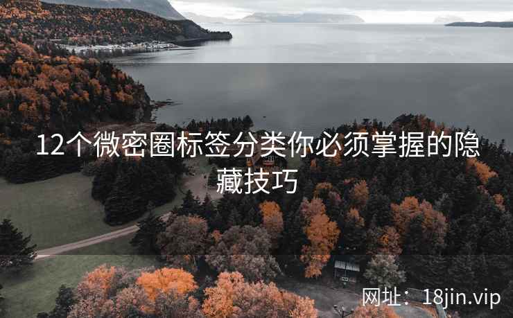 12个微密圈标签分类你必须掌握的隐藏技巧  第2张