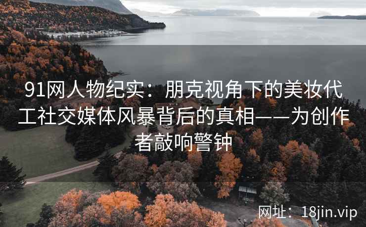 91网人物纪实：朋克视角下的美妆代工社交媒体风暴背后的真相——为创作者敲响警钟
