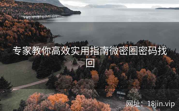 专家教你高效实用指南微密圈密码找回