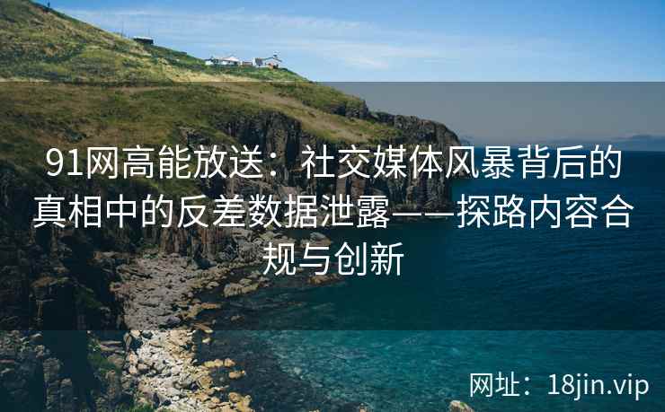 91网高能放送：社交媒体风暴背后的真相中的反差数据泄露——探路内容合规与创新