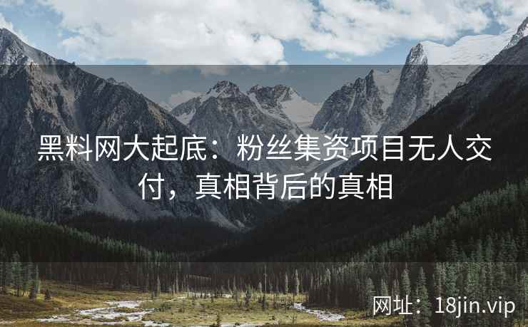 黑料网大起底：粉丝集资项目无人交付，真相背后的真相  第2张