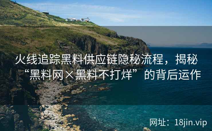 火线追踪黑料供应链隐秘流程，揭秘“黑料网×黑料不打烊”的背后运作  第2张