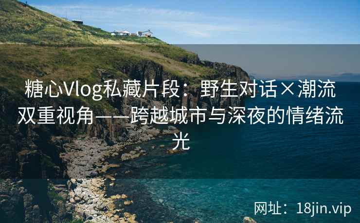 糖心Vlog私藏片段：野生对话×潮流双重视角——跨越城市与深夜的情绪流光  第2张