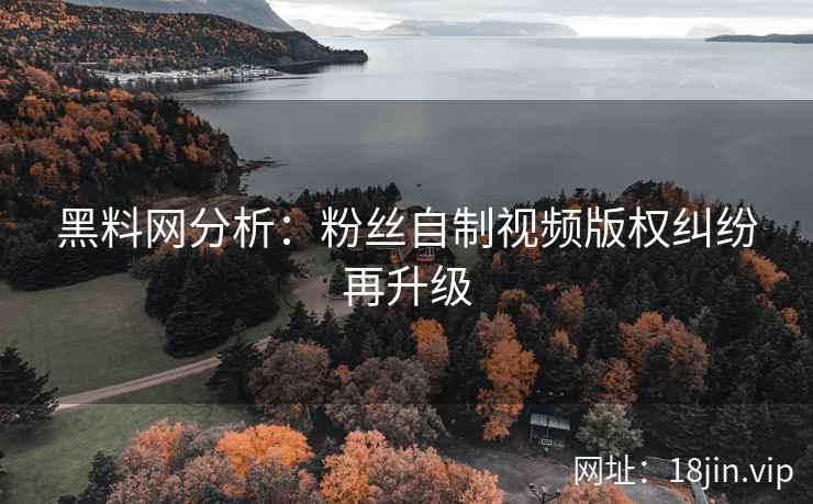 黑料网分析：粉丝自制视频版权纠纷再升级  第2张