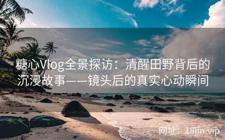 糖心Vlog全景探访：清醒田野背后的沉浸故事——镜头后的真实心动瞬间